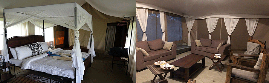 acacia-camp-serengeti Acacia Migration Camp Serengeti Tanzania