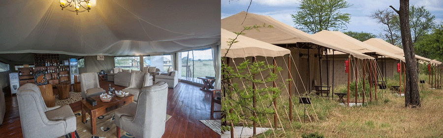 acacia-central-camp-safari Acacia Central Camp Serengeti Tanzania