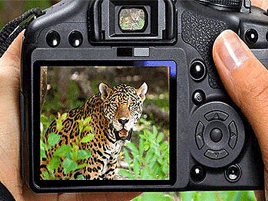 168体彩奖号一键查询综合 African Safari Holidays