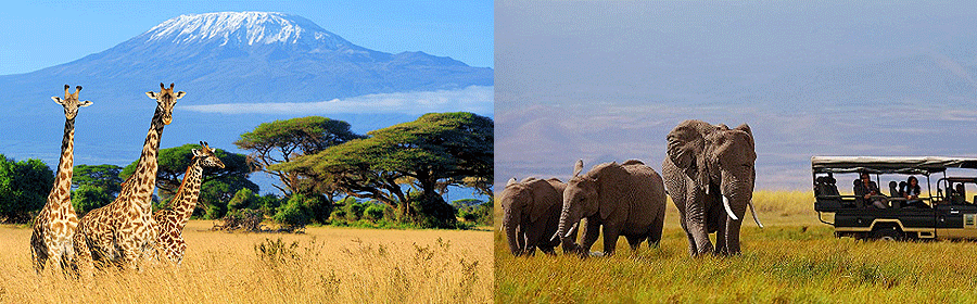 amboseli-game-park Amboseli National Park Kenya