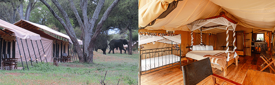 baobab-camp-tarangire Baobab Tented Camp Tarangire National Park