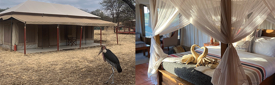 camp-central-acacia Acacia Central Camp Serengeti Tanzania