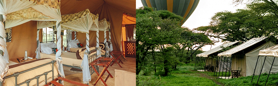 camp-gnu-ndutu-migration Gnu Mara River Camp Serengeti National Park