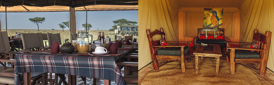 camp-gnu-serengeti Gnu Mara River Camp Serengeti National Park