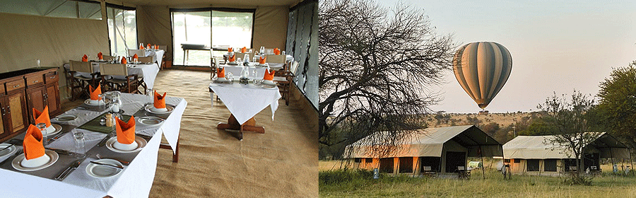 camp-mara-under-canvas Mara Under Canvas Tented Camp Serengeti Tanzania