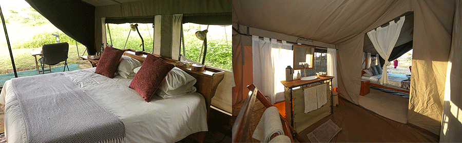 camp-ndutu-ngorongoro Ndutu Wilderness Camp Ngorongoro Crater