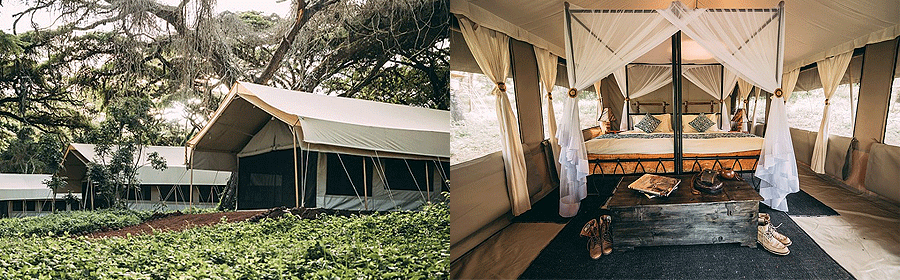 camp-ngorongoro-tortilis Ngorongoro Tortilis Camp Tanzania