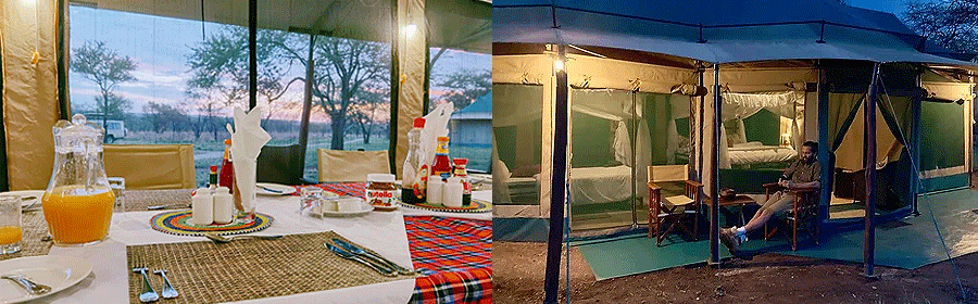 camp-osero-serengeti Osero Camp Serengeti National Park Tanzania