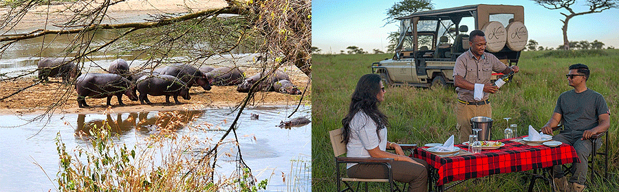 camp-serengeti-mara-river Serengeti Mara River Camp Tanzania