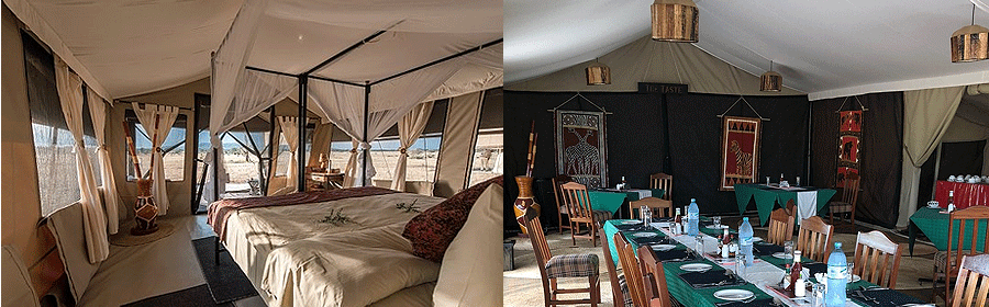 camp-serengeti-tortilis Serengeti Tortilis Camp Tanzania