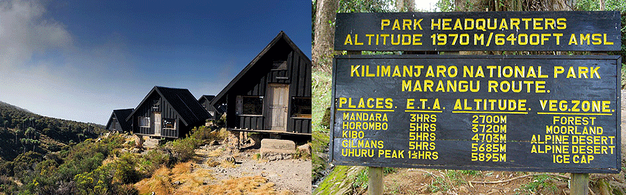 climb-kilimanjaro Climb Kilimanjaro Marangu Route