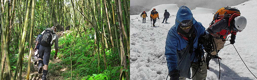 climbing-mountain-rwenzori Rwenzori Mountains Climbing & Trekking Tours