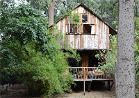 Creaky Cottage – Nanyuki