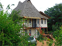 Eileen's Trees Inn, Karatu town – Ngorongoro Crater