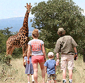 family safaris