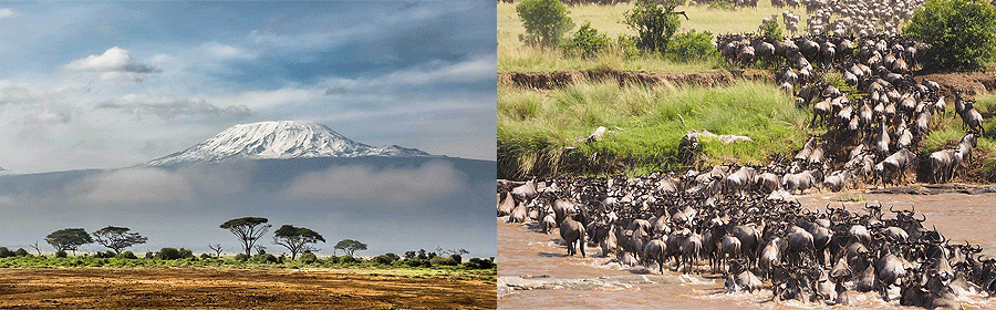 flying-in-safaris Domestic and Regional Flights