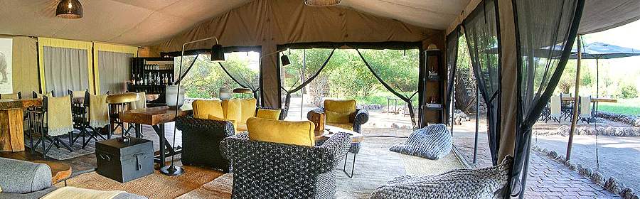 forest-chem-chem-camp Forest Chem Chem Camp Tarangire