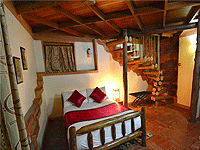 Forest Cottages, Bukoto Area – Kampala City