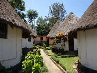 Forever Resort – Jinja Town