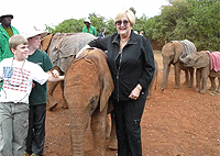 David Sheldrick Elephant Orphanage Giraffe Centre Nairobi Tour