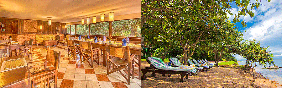 gombe-lodge-mbali-mbali Gombe Forest Lodge