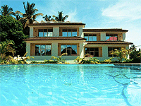 Green Turaco – Stone Town (Zanzibar City)