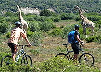 Hells Gate National Park Day Tour from Nairobi – Kenya