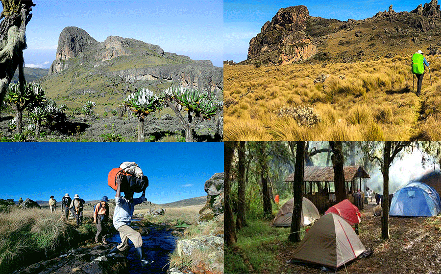 hike-mt-elgon-elgon-uganda Sasa Trail Mount Elgon, Sasa Trail Mount Elgon National Park