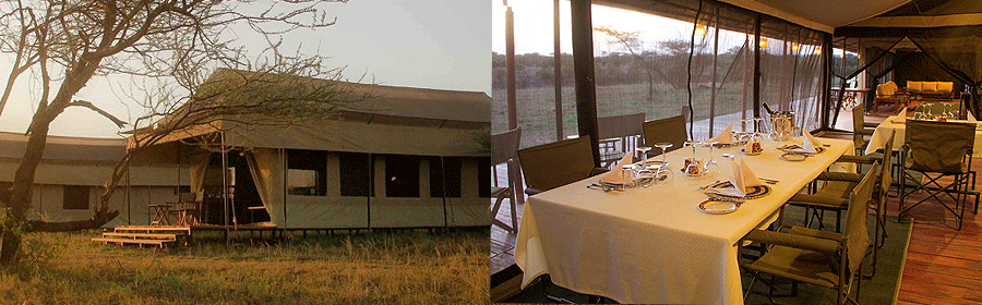 hippo-trails-camp-tanzania Hippo Trails Camp Serengeti Tanzania