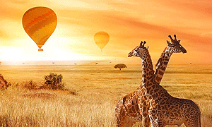 Balloon Camp Tarangire Tarangire National Park,Tanzania