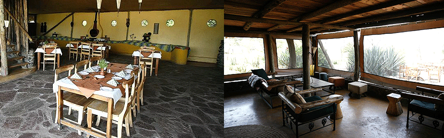 ikoma-safari-camp Ikoma Bush Camp Serengeti