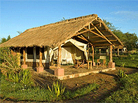 Ikoma Tented Camp – Serengeti National Park