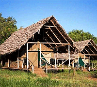Ikoma Wild camp, Serengeti