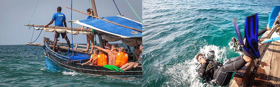 island-lodge-mafia Mafia Island Lodge Tanzania