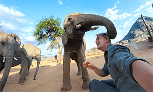 9 Days 8 Nights David Sheldrick Wildlife Trust Kenya Road & Air Safari (2 Nights Nairobi – 2 Nights Umani Lodge Kibwezi – 2 Nights Ithumba Tsavo & 2 Nights Saa Nane Tsavo)