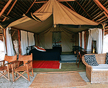 3 Days 2 Nights Sinya Wildlife Conservancy Tanzania Safari