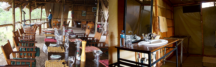 kambi-ya-tembo-tanzania Kambi ya Tembo Kilimanjaro Tanzania