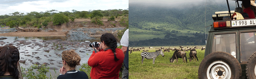 kananga-erengeti-camp Kananga Special Tented Camp Serengeti