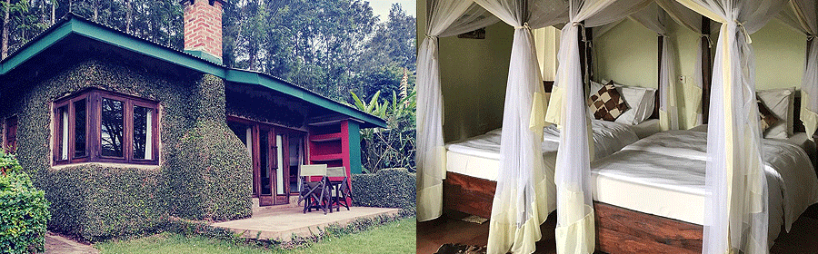 karatu-endoro-lodge Endoro Lodge Karatu Ngorongoro Tanzania