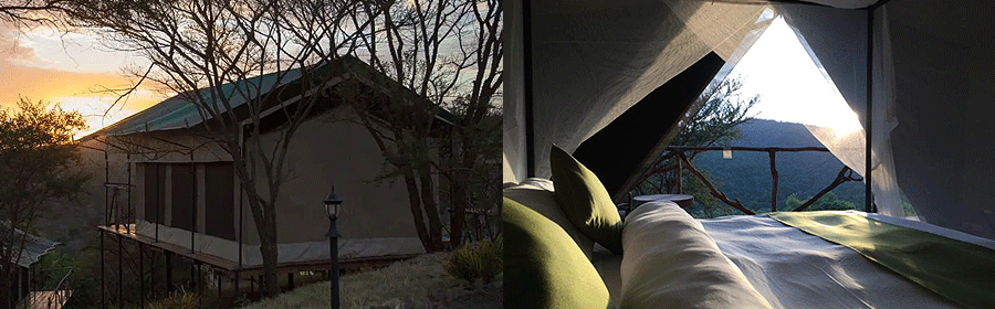 karatu-pembeni-rhotia-camp Pembeni Rhotia Lodge Karatu Tanzania