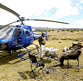 helicopter Safaris