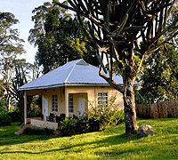 Kilimanjaro Halisi Retreat – Kilimanjaro