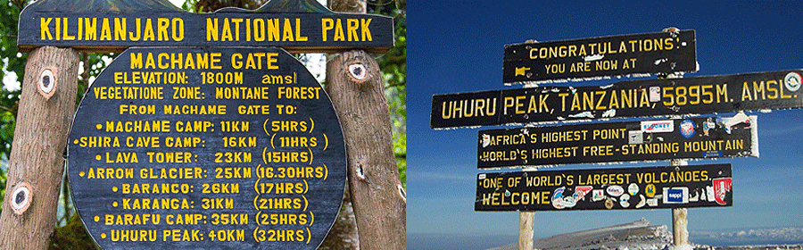 kilimanjaro-luxury-hikes Kilimanjaro Luxury Climb