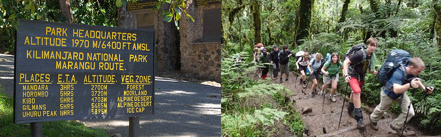 kilimanjaro-maragu-route Mt Kilimanjaro Trek - Marangu Route Tanzania