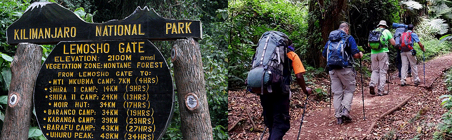 kilimanjaro-route-lemosho Lemosho route