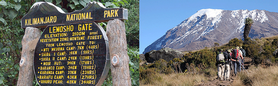 kilimanjaro-shira-route Kilimanjaro Shira Route