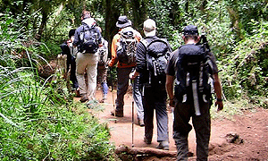 4 Days 3 Nights Kilimanjaro Climb Short Hike/ Trek – Tanzania Safari