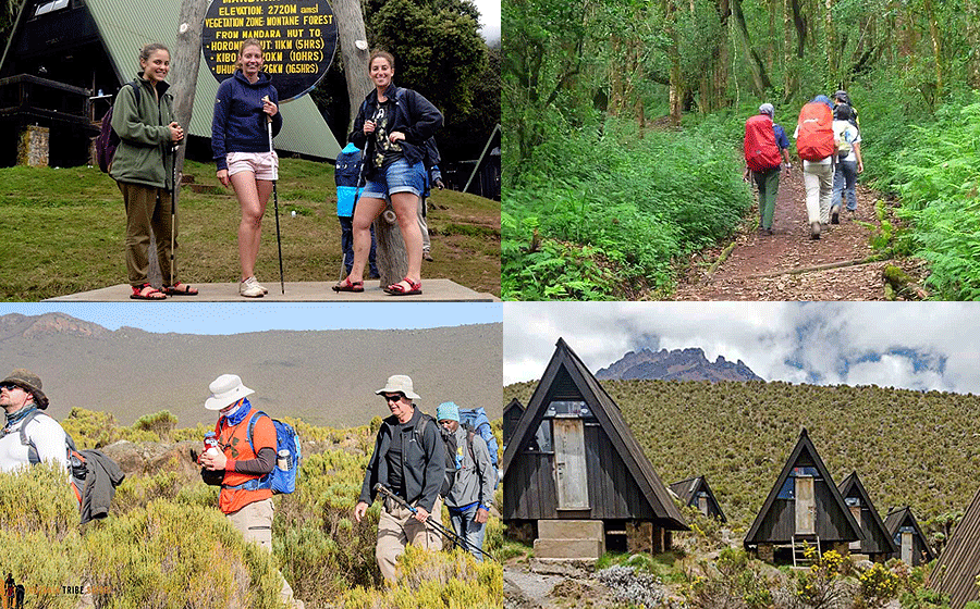 kilimnjaro-marangu-route Climb Kilimanjaro Marangu Route 4 Days Hike Tanzania