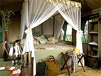Kirurumu North Serengeti Camp– Serengeti National Park