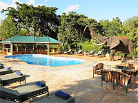 Kudu Lodge and Campsite, Karatu - Ngorongoro Crater